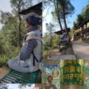 비씨유통 이미지