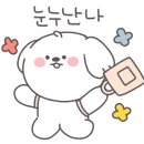 풍동동물병원 이미지