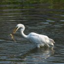 광주광역시 야생동물구조관리센터 이미지