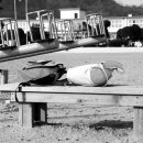 지정초등학교 이미지