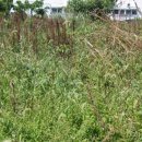 상예동-1 이미지