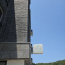 이쁘냥 고양이미용실 대전점 | 대전고양이미용실, 스트레스안받고 미용했어요! 이쁘냥대전점