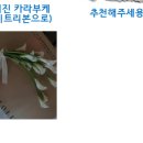이프네일스튜디오