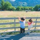 지우목장 이미지