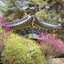 정자중앙길 이미지