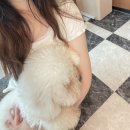 성수 네이버블로그