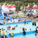 내장산문화광장 이미지