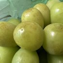 지우농장 이미지