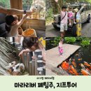 (주)체크인투어 | [아기랑 발리 해외여행] 마라라버 사파리 롯지 동물원 페팅주 동물 먹이주기 지프투어 후기