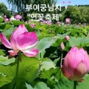 안산솔밭길산악회 135차.정기산행.7/16일셋째주일요일에,보령양각산/부여 궁남지 연꽃축제 축제. 이미지