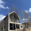 소주고개로닭갈비 | 강원도 여행 강촌맛집 소주고개로닭갈비 후기