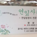 여주-1109 Daum카페