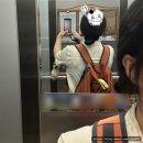 익산부송도서관 | 익산 부송동 시지프압생트투 | 환경을 생각하는 사장님의 진심이 느껴진 카페