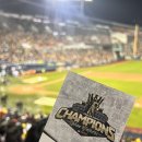 291 | 한국시리즈 통합우승 LG 세레머니 in 잠실｜블루석 209블록 20열 290번, 291번 좌석 시야 후기