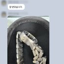 막스마라 | 구나바잉 이탈리아 구매대행 배송대행 배대지 이베이 빈티드 수비토 막스마라 인트렌드 후기!