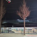 삼순이인삼구이 이미지