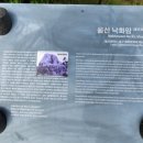 낙화암 쌍바위 이미지