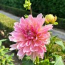 송준호농장 이미지