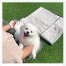 아이조아요양보호소 안양점 이미지