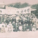 산호체육관 이미지