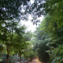 강천산모텔 이미지