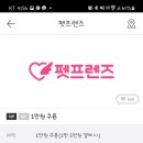 펫 & 쇼핑 네이버블로그