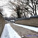 오서장원 | 서울 고궁 설경 창덕궁 후원​ 겨울 데이트 하기 좋은곳