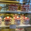 강남-205 이미지