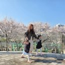 오산스포츠센터 | 동탄/오산 아이랑 가볼만한 곳, 오산천 벚꽃 피크닉 (주차 포함)
