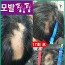 큐사랑팡팡