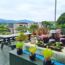 루아펜션 | 경주 가성비 숙소 황리단길 근처 루아펜션 예약 후기