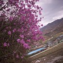 월암회관 이미지