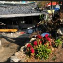 본2리 Daum카페