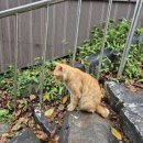 필내과의원 이미지