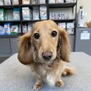 아인스 동물병원 이미지