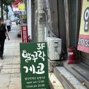 발꾸락게코 | 수원 도마뱀 분양 : 수원역 근처 발꾸락게코에서 데려온 릴리화이트 크레
