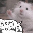 희도민박 이미지