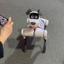 동방헬스다인(주) | 쌍하이