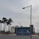 영월스키 | 늦겨울캠핑 / 필리가캠핑장 / 영월캠핑장 / 대우칼국수