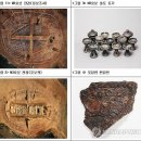 연산동고분군 이미지