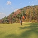 일레븐CC | [일레븐cc]가을 단풍뷰 평일 라운딩 솔직 후기(그린피, 코스 난이도)