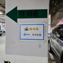 해피주 동물카페 원주점 이미지