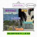 얼리윈터페스티벌<춤추는 미술관> | 홍콩 마카오 4박5일 (6) 셩완 숙소 dash living on hollywood / 침사추이 M+ 피크닉 노을 야경 강추