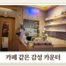 프로방스노래연습장 이미지