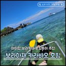 내야지 | 보라카이 아이랑 호핑투어 업체 비교 보라아재 카라바오 호핑 내돈내산 후기