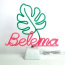 빌레마 | 데스크리움] 네온 크리트 주문 제작 후기_ Belema+몬스테라