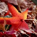 일상의 기록 감성 여행 드로잉 이미지