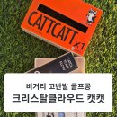 크리스탈 골프 | [캣캣골프공]비거리까지 달라지는 골프공, 크리스탈클라우드 캣캣 골프공 12구 솔직 후기