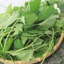 자연대로4 이미지