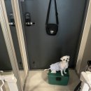 꽐라만취 | [하남] 셀프 바베큐장, 물놀이장 “비욘더팜” 다녀온 후기 (애견동반가능)